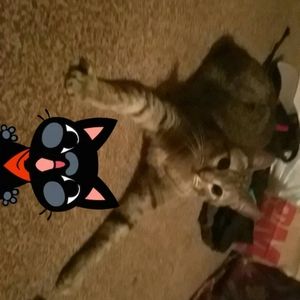 Meet your Posher, San juanita